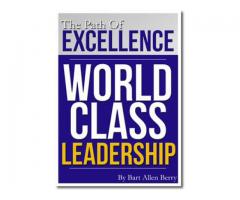 The path to excellence: world class leadership