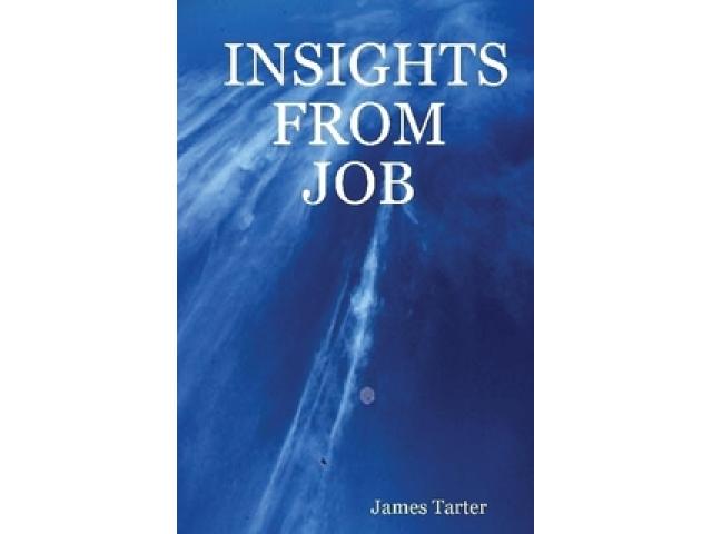 Free Book - Insights From Job