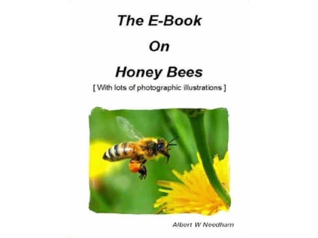 Free Book - Honey Bee E-Book