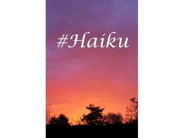 Free Book - #Haiku