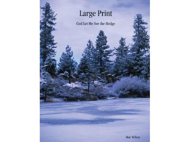 Free Book - Large Print: God Let Me See the Hedge
