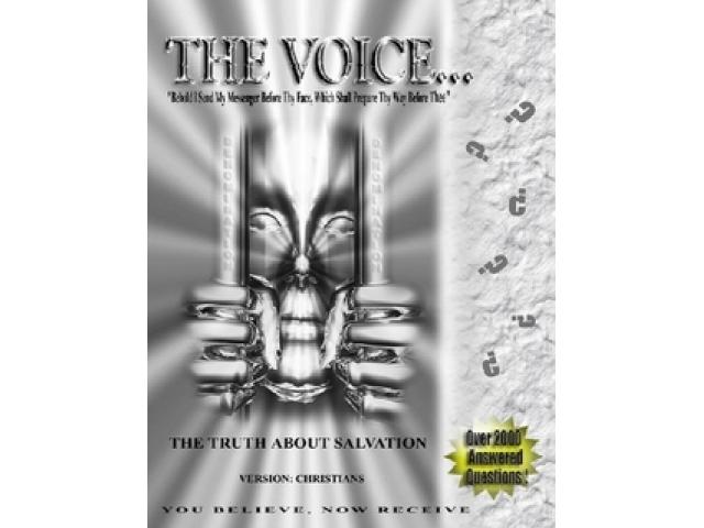 Free Book - The Voice