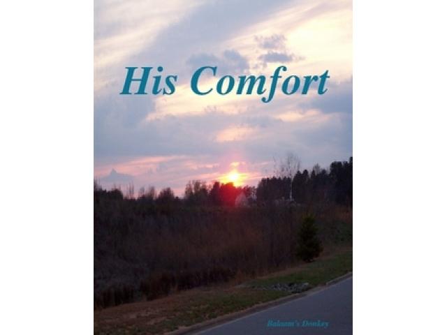 Free Book - His Comfort