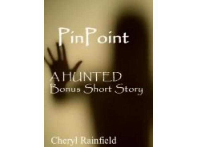 Free Book - PinPoint
