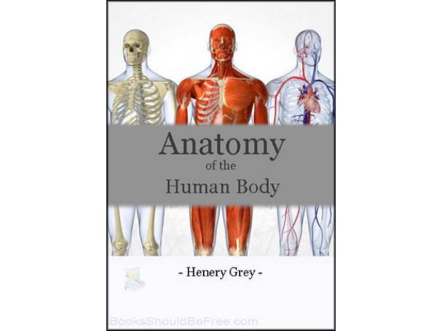 Free Book - Anatomy of the Human Body