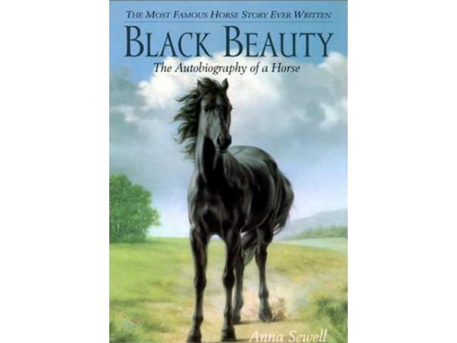 Free Book - Black Beauty