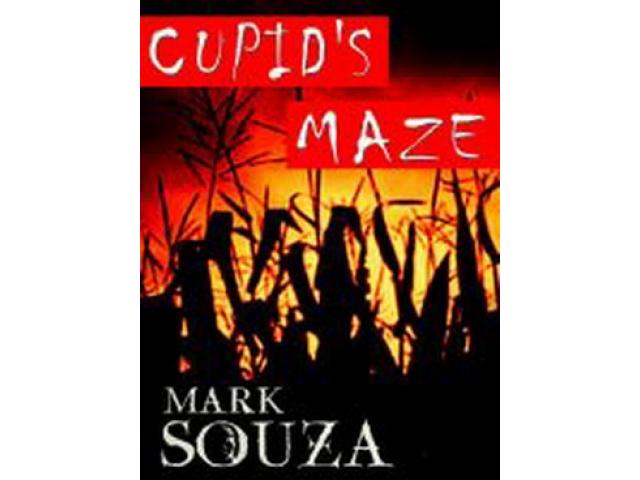 Free Book - Cupid's maze