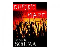Cupid's maze