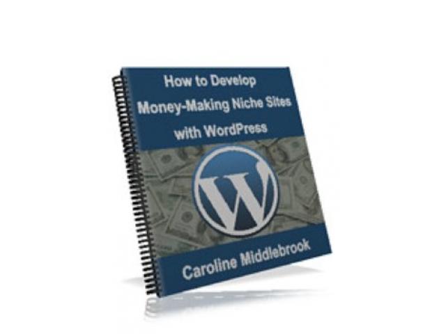 Free Book - How to Develop Money-Making Niche Sites