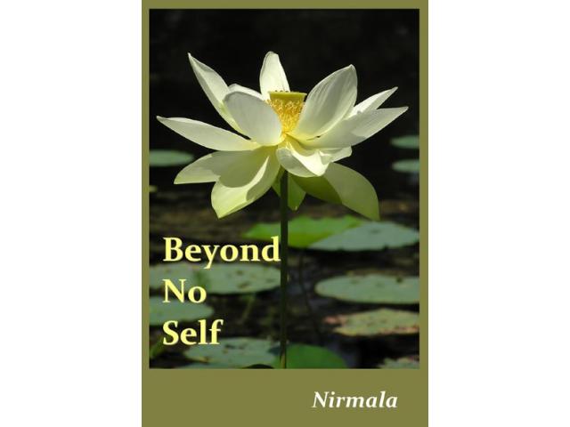 Free Book - Beyond No Self