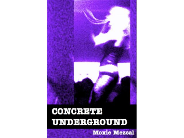 Free Book - Concrete Underground
