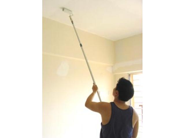 Free Book - Painting A Ceiling