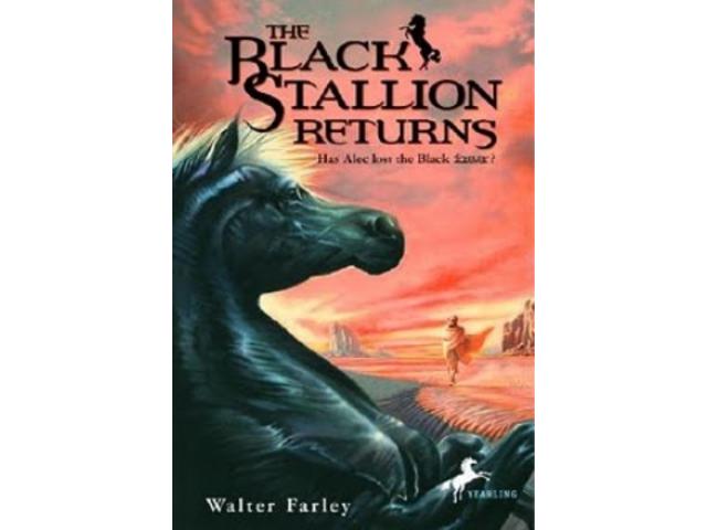 Free Book - Black Stallion Returns