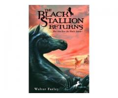 Black Stallion Returns