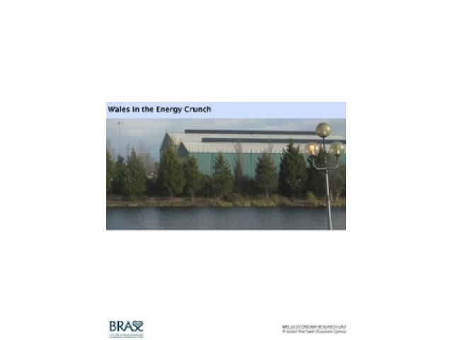 Free Book - Wales in the Energy Crunch