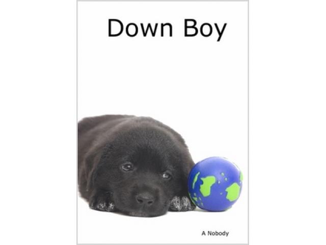 Free Book - Down Boy